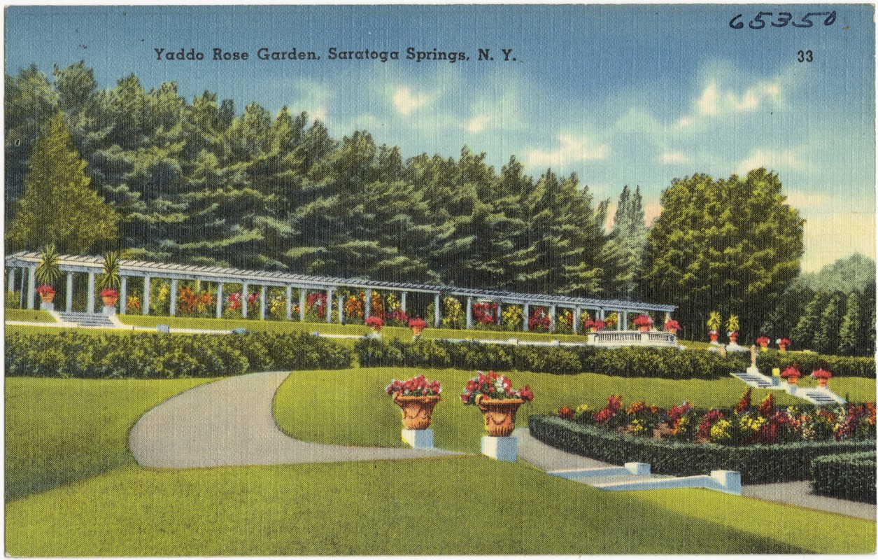 Yaddo Rose Garden, Saratoga Springs, N. Y. Digital Commonwealth