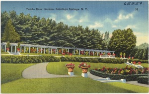 Yaddo Rose Garden, Saratoga Springs, N. Y.