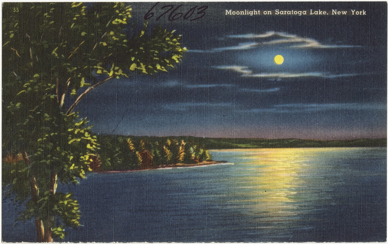 Moonlight on Saratoga Lake, New York