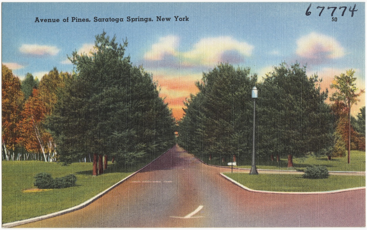 Avenue of Pines, Saratoga Springs, New York