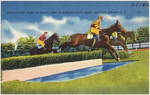 Steeplechase, over the water jump, at Saratoga Race Track, Saratoga Springs, N. Y.