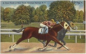 A close finish at race track, Saratoga Springs, N. Y.