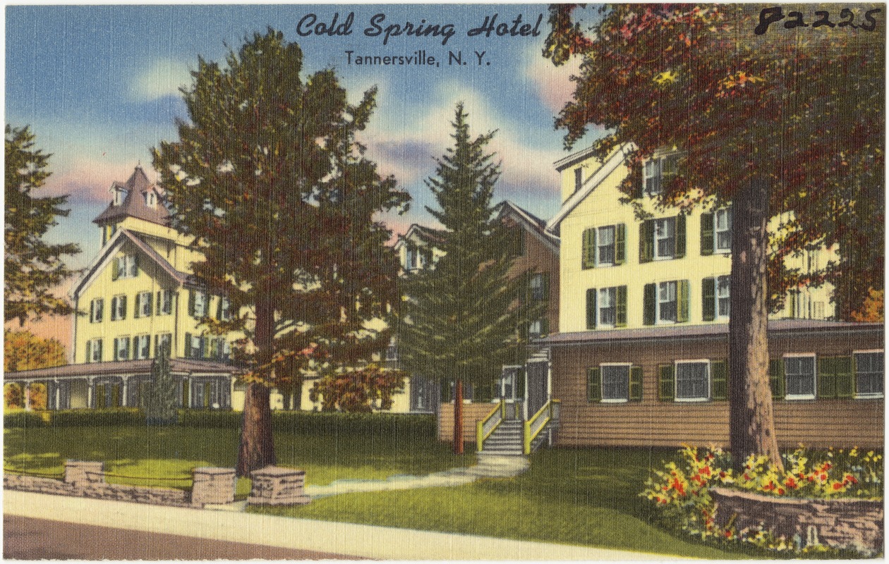 Cold Spring Hotel, Tannersville, N. Y.