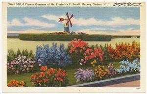 Wind mill & flower gardens of Mr. Frederick P. Small, Harvey Cedars, N.J.