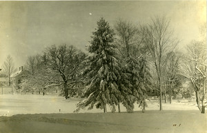 Abbot Academy campus in Winter
