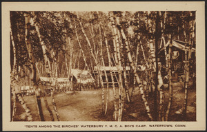 "Tents among the birches" Waterbury Y.M.C.A. Boys Camp, Watertown, Conn.