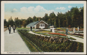 Flower garden, Forest Park, Springfield, Mass.