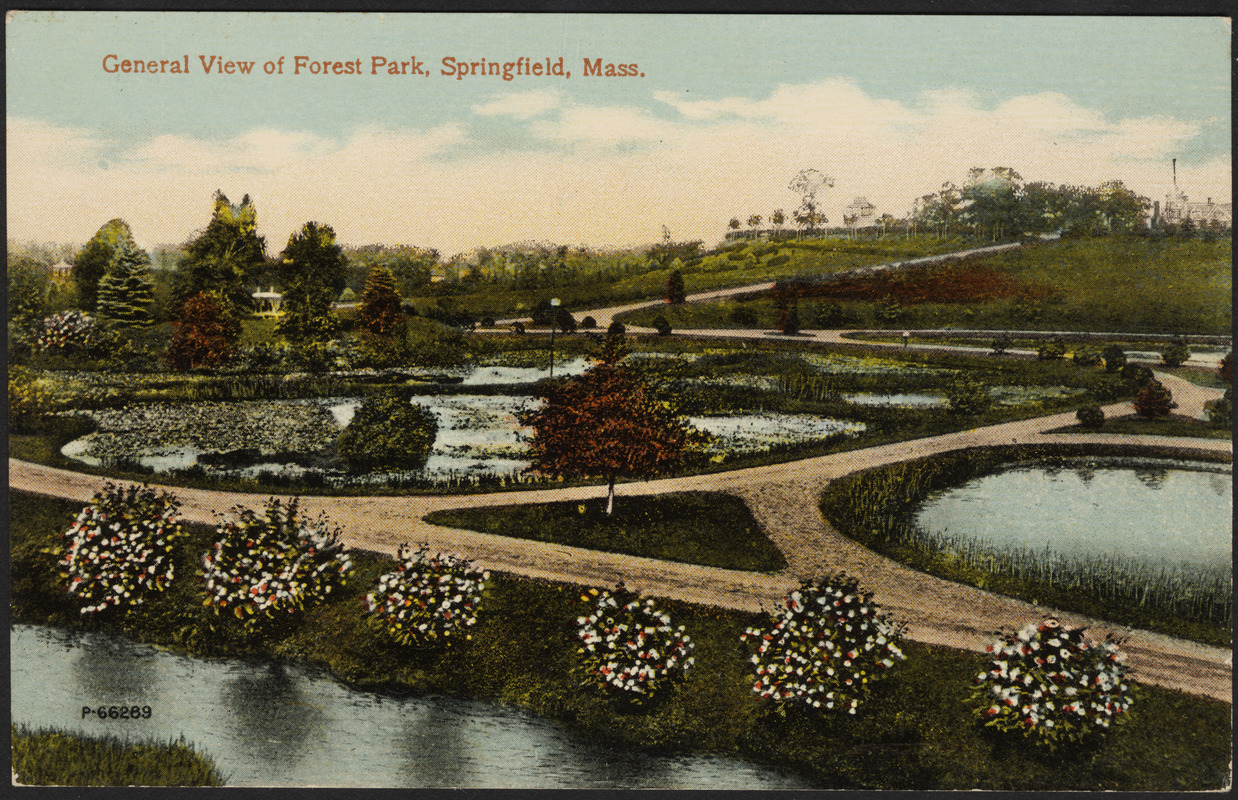 General view of Forest Park, Springfield, Mass.