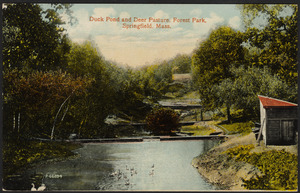 Duck Pond and Deer Pasture, Forest Park, Springfield, Mass.
