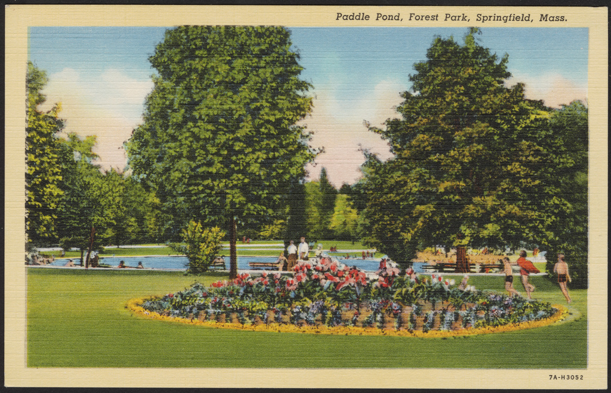 Paddle Pond, Forest Park, Springfield, Mass , Lakes & Ponds, Parks