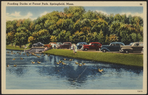 Feeding ducks at Forest Park, Springfield, Mass.