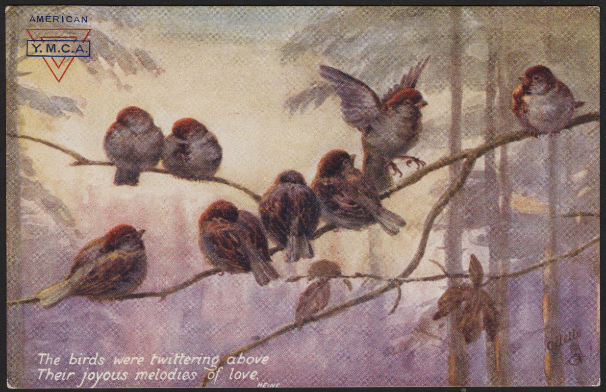 The birds were twittering above their joyous melodies of love. Neine