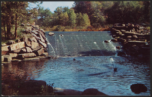 Forest Park dam & fountain Springfield, Mass.
