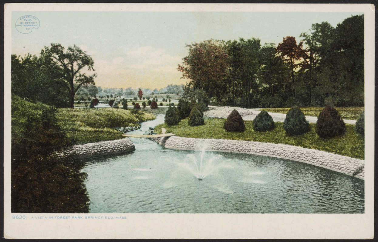 A vista in Forest Park. Springfield, Mass.