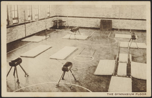 The gymnasium floor