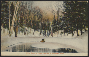 Winter scene in Forest Park, no. 5, Springfield, Mass.