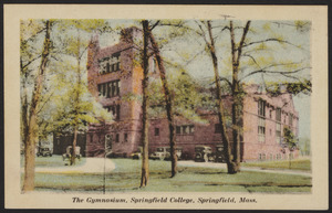The gymnasium, Springfield College, Springfield, Mass.