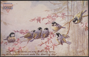 Hear how the birds, on every bloomig spray, With joyous musick wake the dawning day!