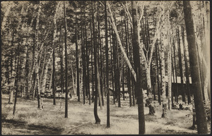 Camp Merrill in-the-Berkshires