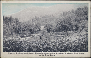 View of Orchard and Mount Pinnacle, Camp John B. Adger, Pickens, S.C. State Y.M.C.A. Camp