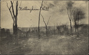 Bellingham Hill