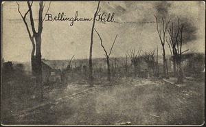 Bellingham Hill