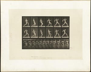 Animal locomotion. Plate 7