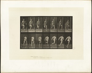 Animal locomotion. Plate 66