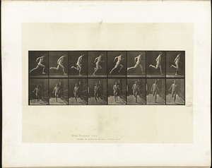 Animal locomotion. Plate 67