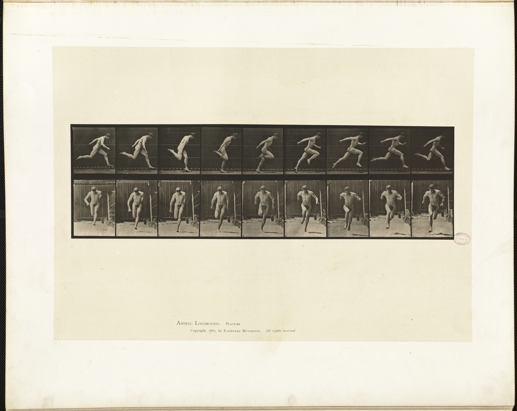 Animal locomotion. Plate 68