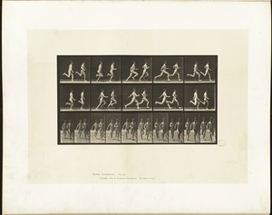 Animal locomotion. Plate 69