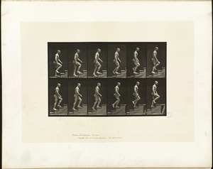 Animal locomotion. Plate 91