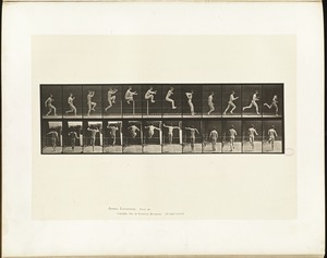 Animal locomotion. Plate 154