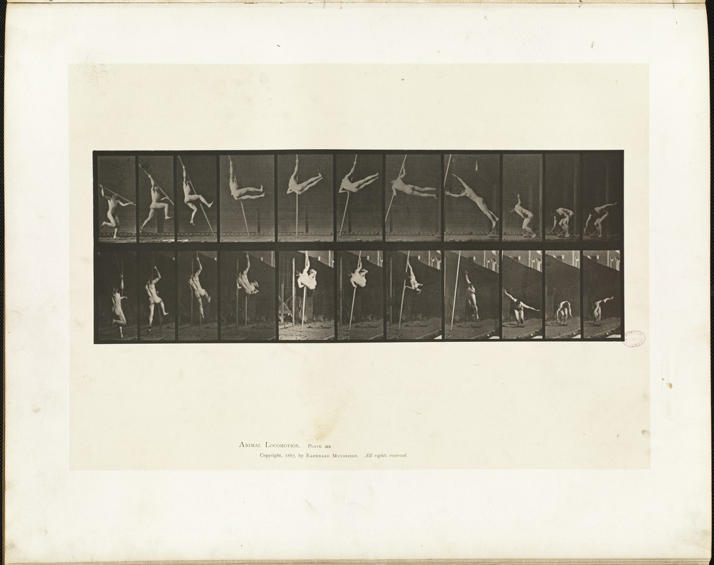 Animal locomotion. Plate 164