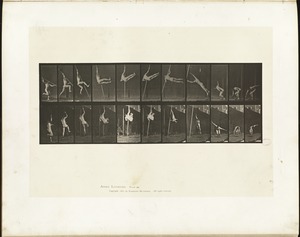 Animal locomotion. Plate 164