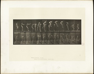 Animal locomotion. Plate 166