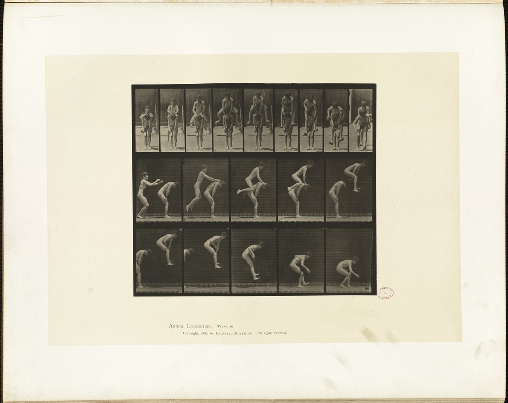 Animal locomotion. Plate 167