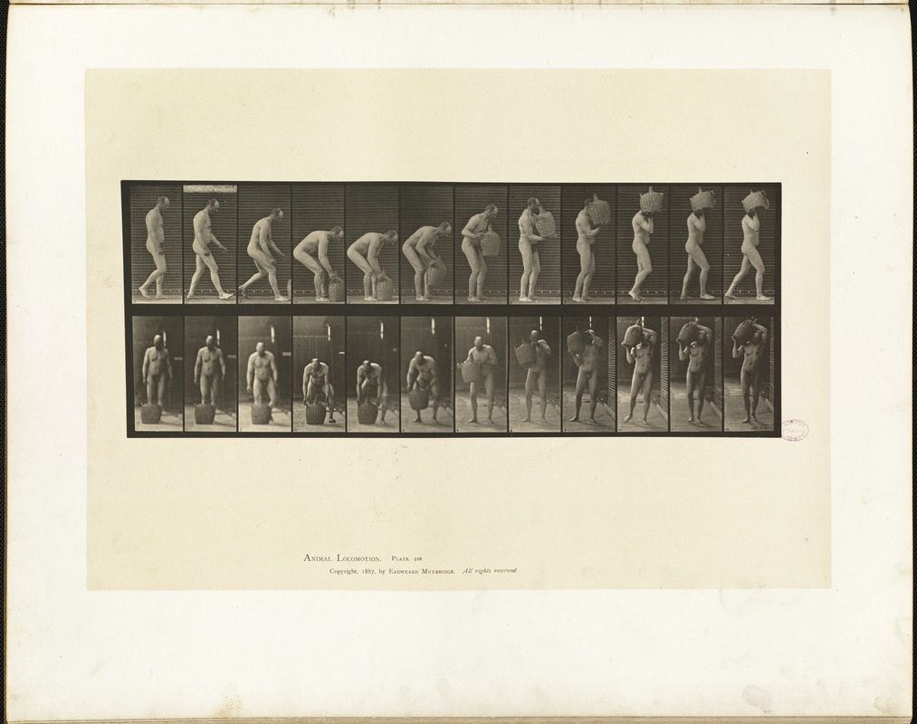 Animal locomotion. Plate 218