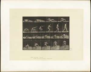 Animal locomotion. Plate 258