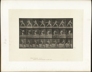 Animal locomotion. Plate 276