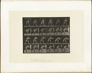 Animal locomotion. Plate 280