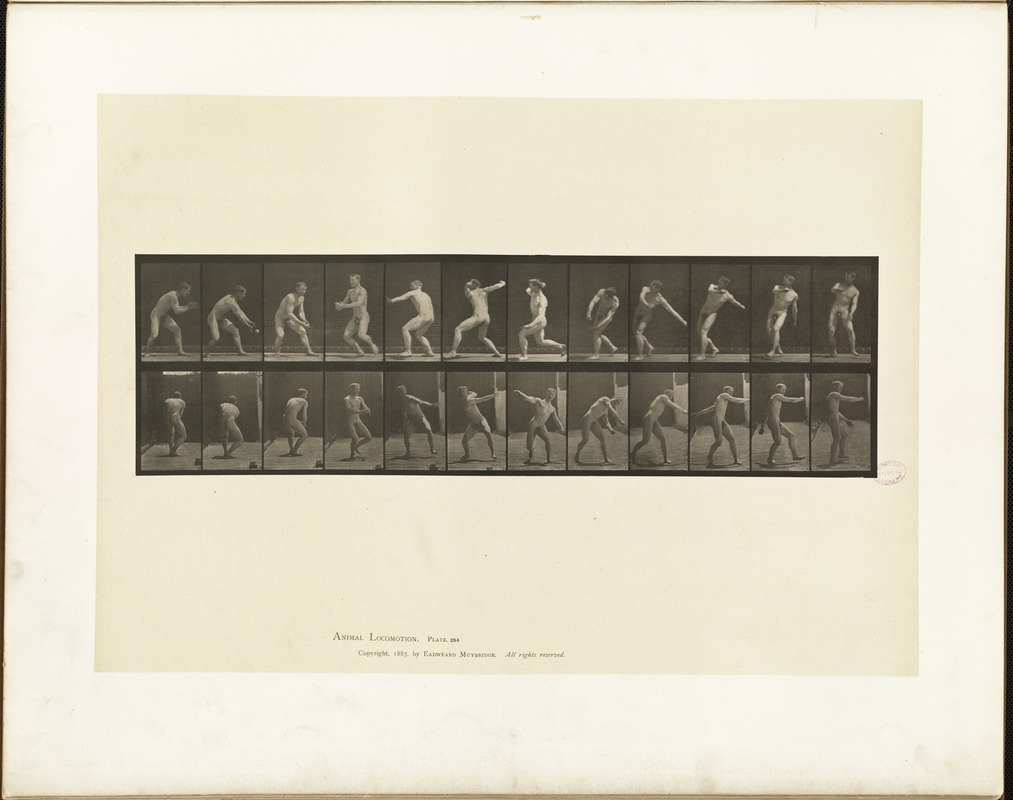 Animal locomotion. Plate 284