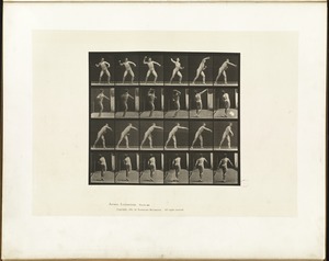 Animal locomotion. Plate 286