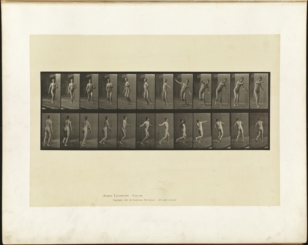 Animal locomotion. Plate 289