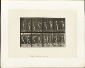 Animal locomotion. Plate 309