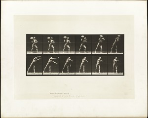 Animal locomotion. Plate 311