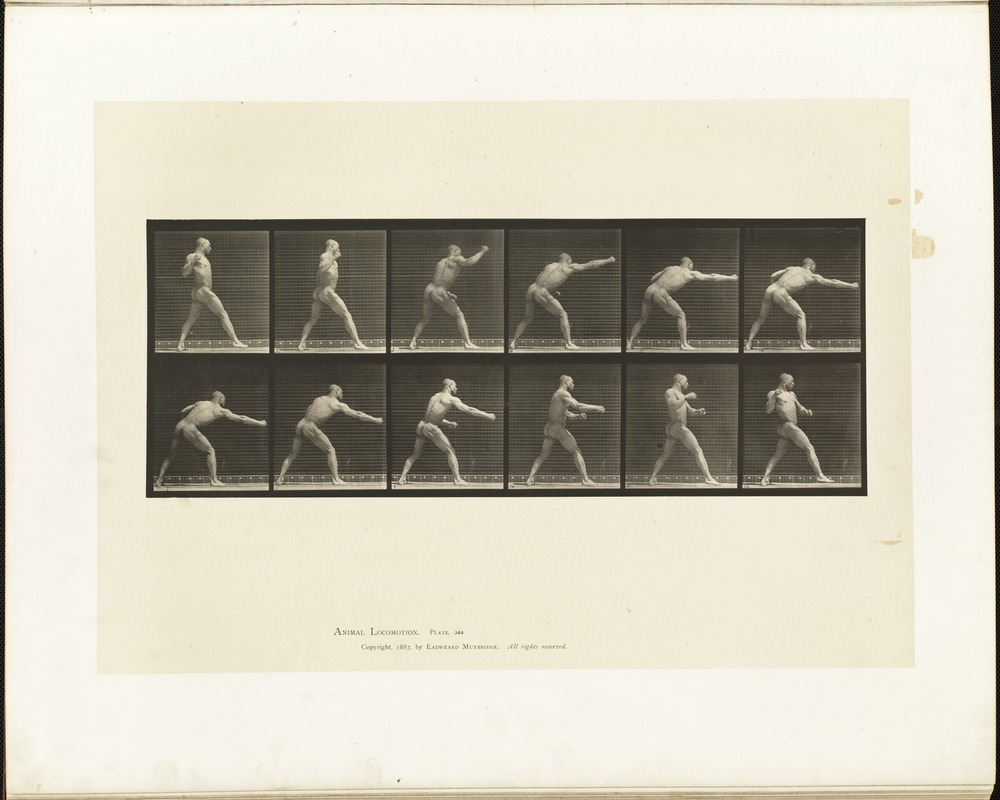 Animal locomotion. Plate 344