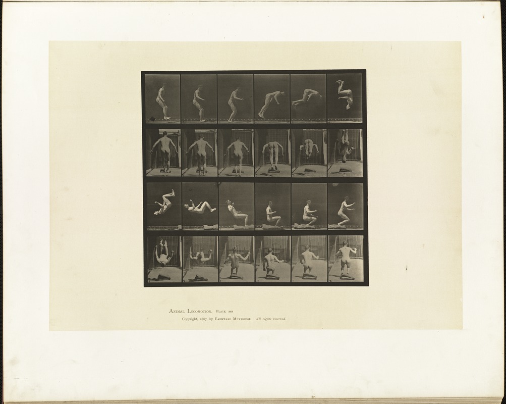 Animal locomotion. Plate 363