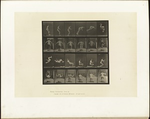 Animal locomotion. Plate 363