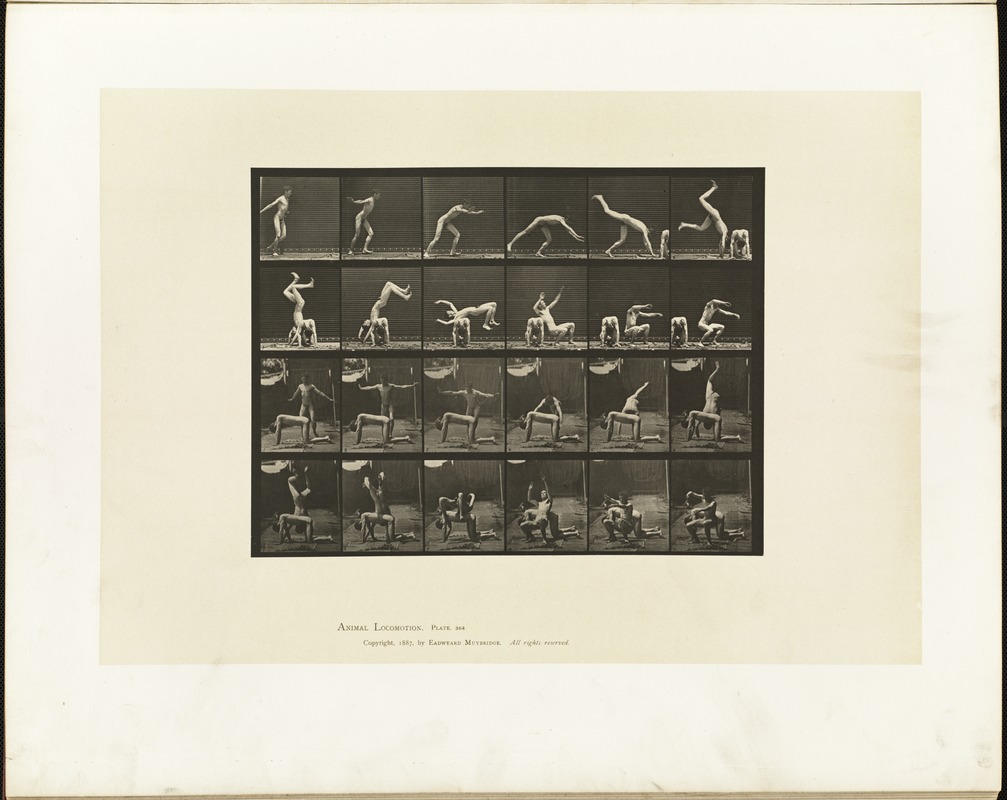 Animal locomotion. Plate 364